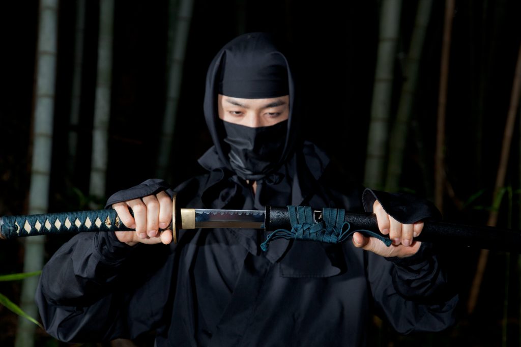 Truth About Ninja Part 1 Time To Be United 
