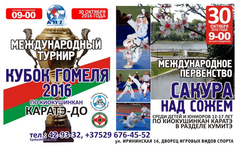 gomel-cup