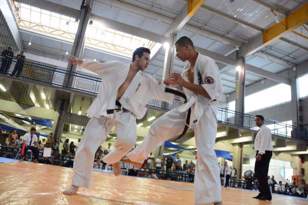 1o-south-america-karate-kyokushin-ifk-tournament