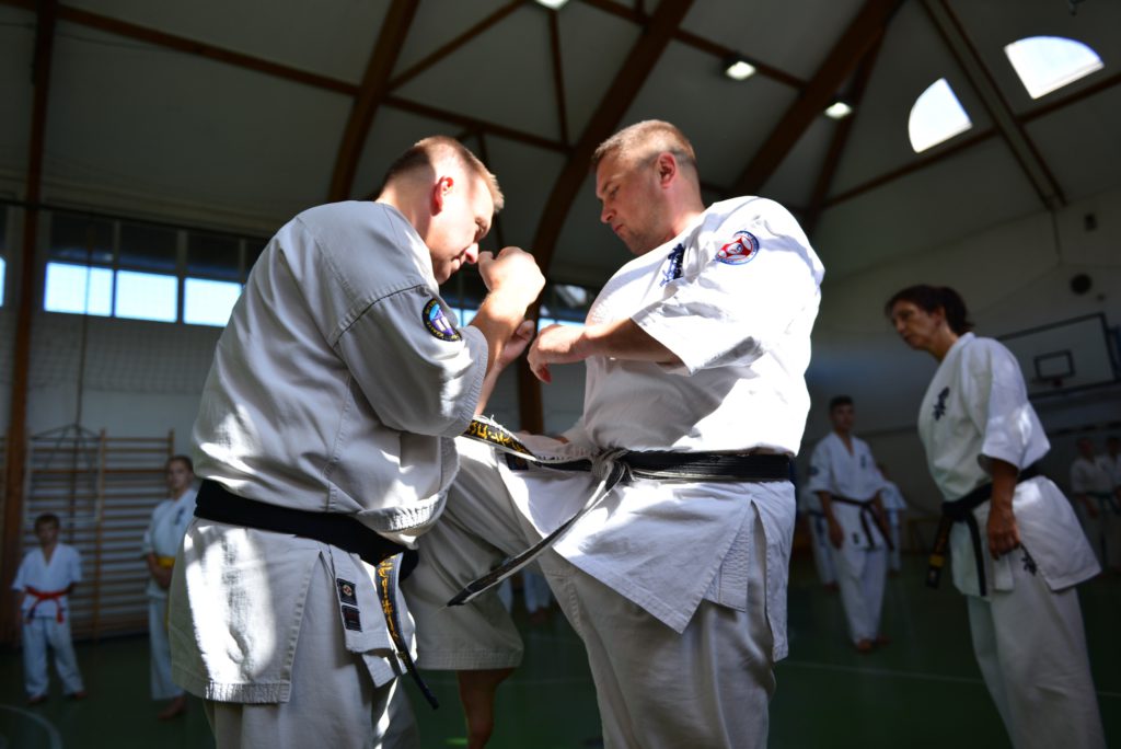 Shihan Alexey Gorokhov