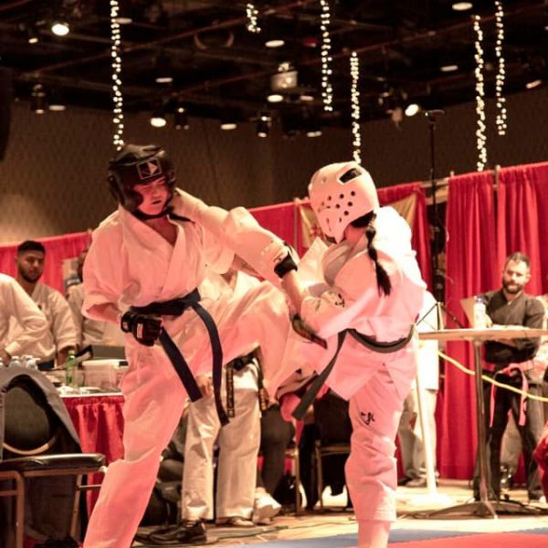 American International Karate Championships