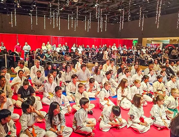Results from the 7th USA-IFK International Kyokushin Championships are published on the official website of the hosts.