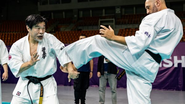 Teaching Martial Arts Effectively