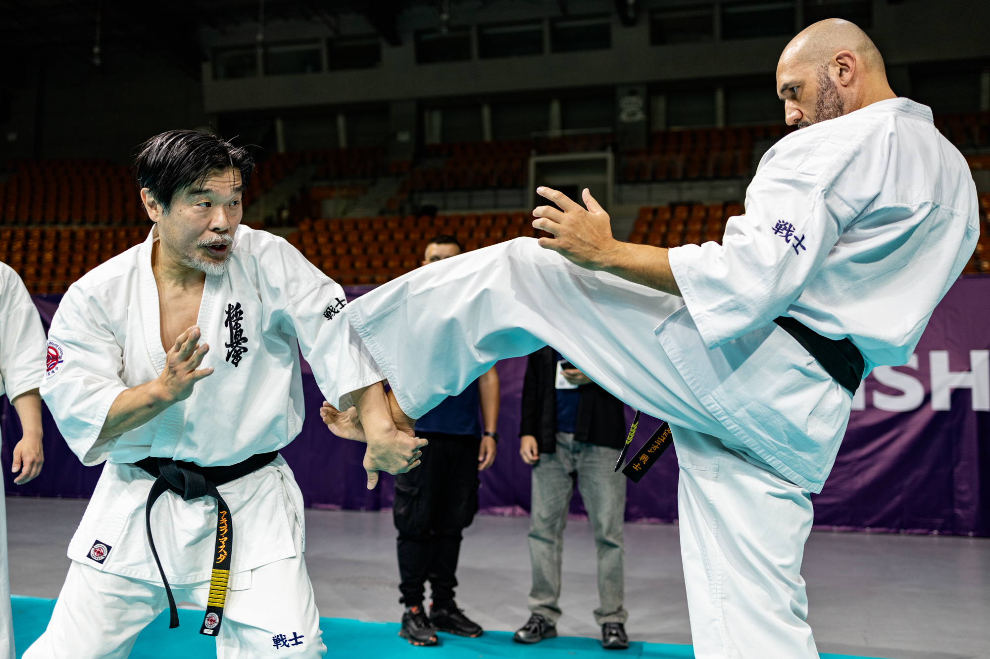 Teaching Martial Arts Effectively