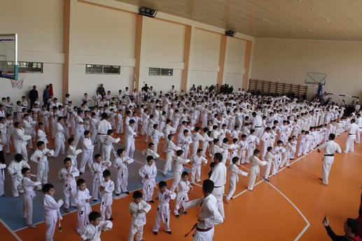 800 karatekas passed exams in Armenia