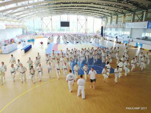 DJI 0037